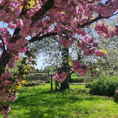 Habitación en casa particular Le Calibrochet - 24 Du Mans *