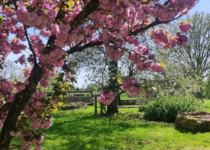 Alloggio in famiglia Le Calibrochet - 24 Du Mans *