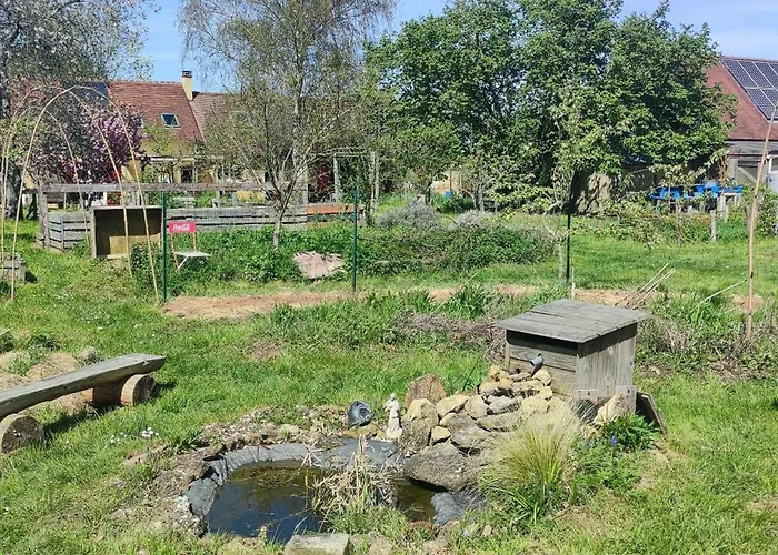 Le Calibrochet - 24 Du Mans * Saint-Ouen-en-Belin