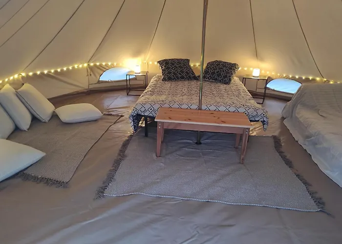 Le Calibrochet - 24 Du Mans * Saint-Ouen-en-Belin